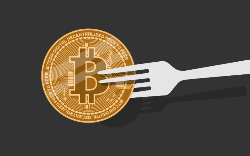 All You Need to Know About Cryptocurrency Forks 2