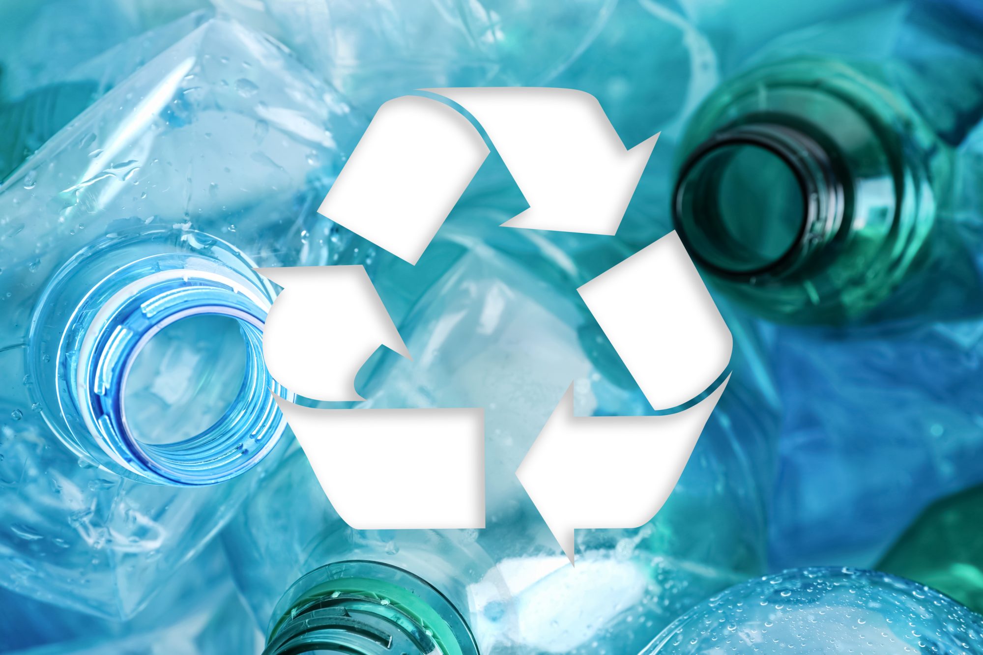 A Vicious Cycle of Self-Deception. Why the Plastic Recycling Technology is the Problem but Not the Solution?